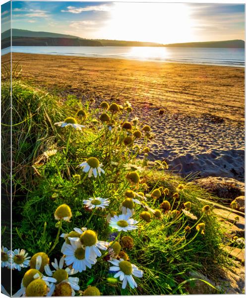 Newport Beach Sunset, Pembrokeshire, Wales, UK Canvas Print by Mark Llewellyn