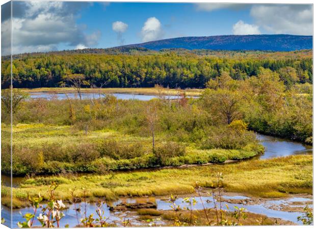 Aspy Bay, Cape Breton, Canada Canvas Print by Mark Llewellyn