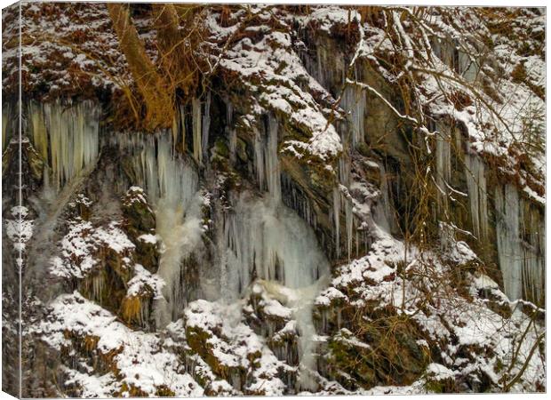 Winter Walk, Schladming, Austria Canvas Print by Mark Llewellyn