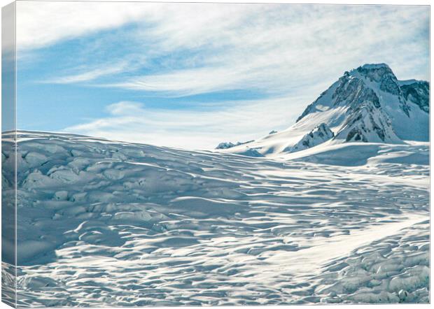 Fox Glacier, New Zealand Canvas Print by Mark Llewellyn