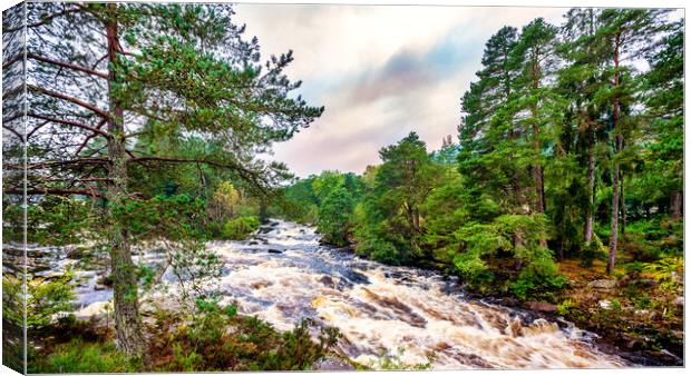 Rapids, Highlands, Scotland, UK Canvas Print by Mark Llewellyn