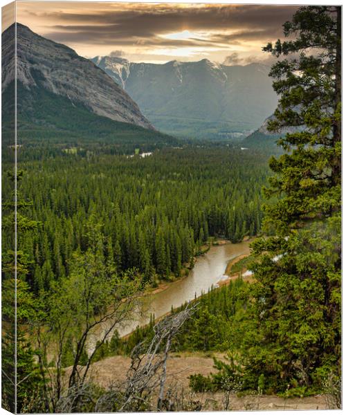 Quiet River, Alberta, Canada Canvas Print by Mark Llewellyn
