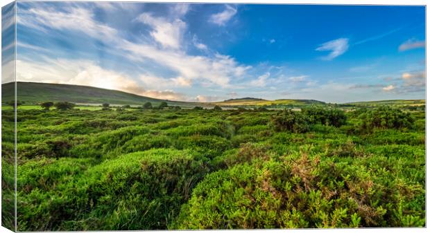 Preseli Vista, Pembrokeshire, Wales, UK Canvas Print by Mark Llewellyn