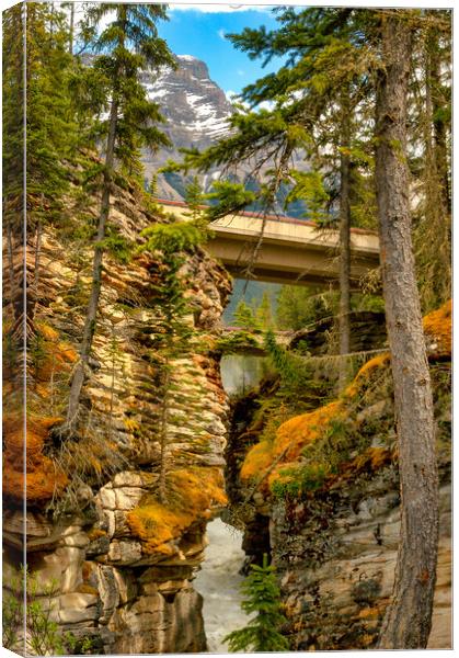 Mossy Gorge, Jasper, Canada Canvas Print by Mark Llewellyn