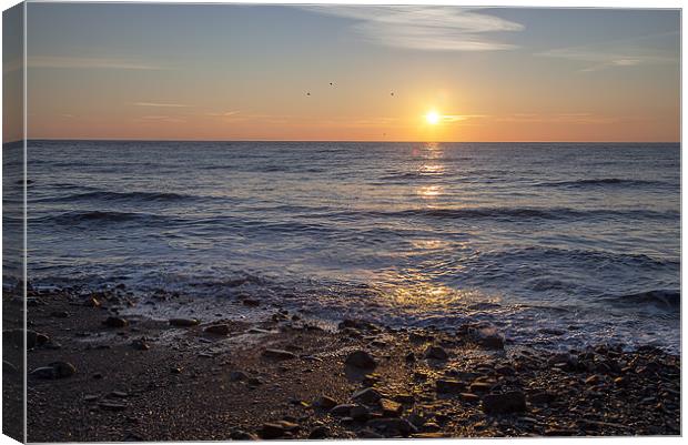 Monk Haven Morning Sunrise, Pembrokeshire Canvas Print by Simon West