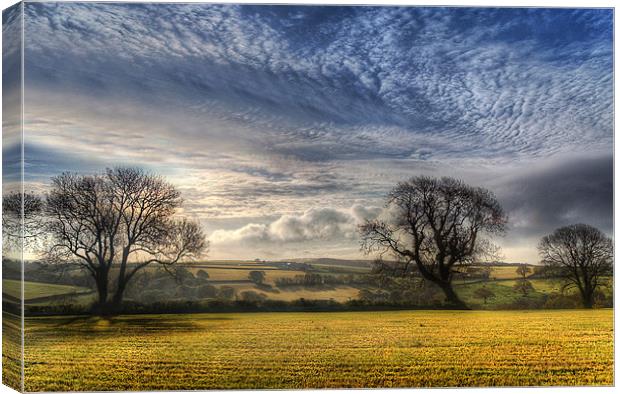 Pembrokeshire Countryside Canvas Print by Simon West