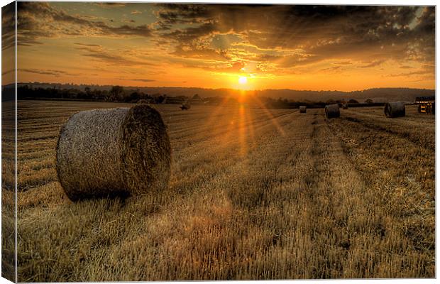 Harvest Cornfield Sunset Canvas Print by Simon West