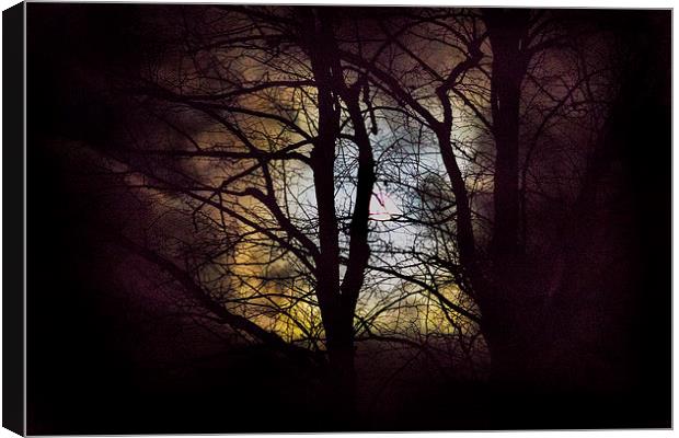 The moon through the trees Canvas Print by Simon West