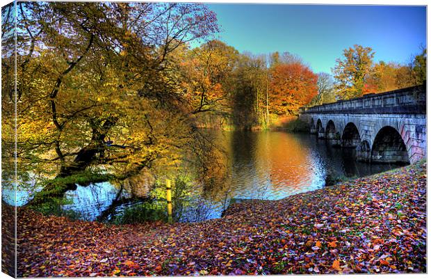 Virginia Water Lake in Autumn Canvas Print by Simon West