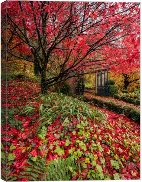 Autumn Garden Canvas Print by Simon West