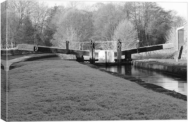 locks at stockton brook Canvas Print by darren  carter