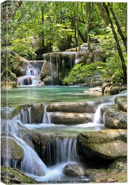 Jungle Falls Canvas Print by Barry Newman
