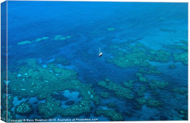 The Great Barrier Reef Canvas Print by Barry Newman
