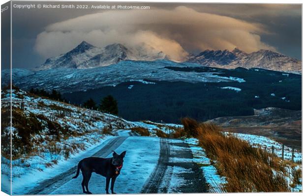 'Lucy', the Glenmore road and the Cuillin. Canvas Print by Richard Smith
