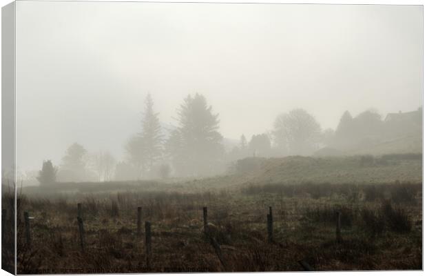 Trees through the mist Canvas Print by Richard Smith