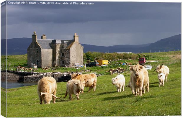 Highland Cattle on Skye Canvas Print by Richard Smith
