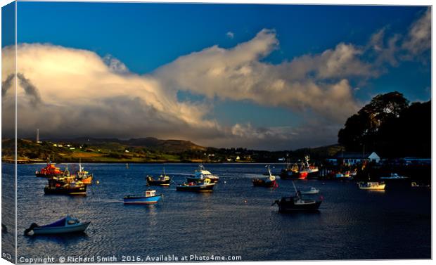 Loch portree in evening light. Canvas Print by Richard Smith