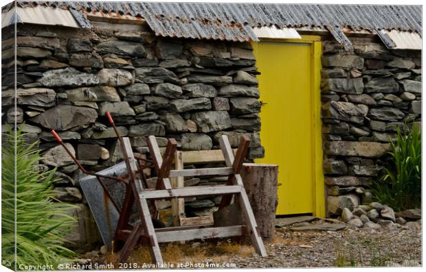Outhouse yellow door Canvas Print by Richard Smith