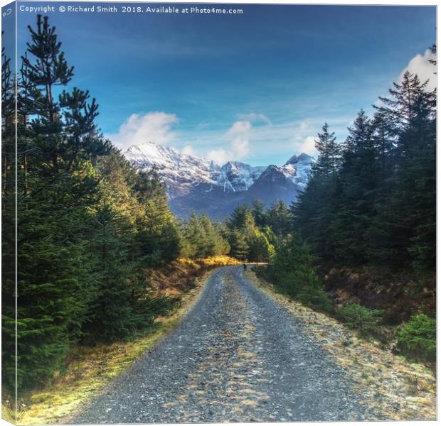 Walking the Bealach Brittle forest loop track #1 Canvas Print by Richard Smith