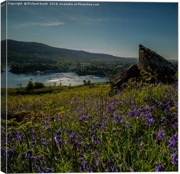 Portree from a carpet of Bluebells on Ben Chracaig Canvas Print by Richard Smith
