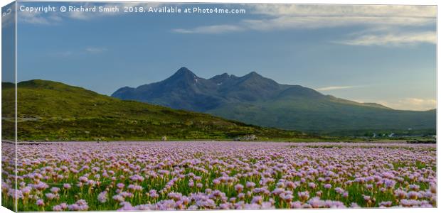A sea of Sea Thrift #3 Canvas Print by Richard Smith