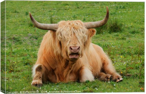 'Eddie', the Highland Bull from the Isle of Skye Canvas Print by Richard Smith
