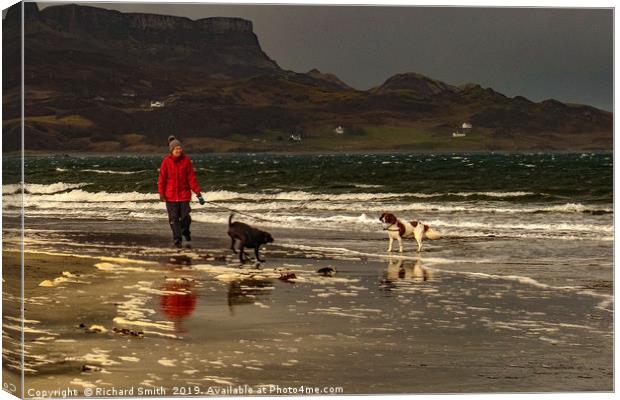 Dog walking on the beach 'an Corran' at Staffin Canvas Print by Richard Smith
