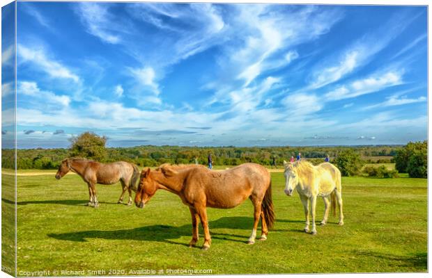 New forest ponies at ease near Lyndhurst in the New Forest Canvas Print by Richard Smith