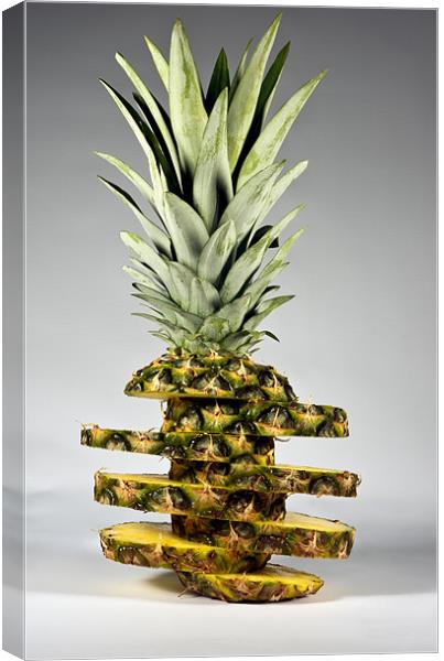 pineapple with slices Canvas Print by Justyna studio