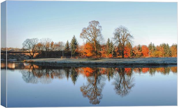 Autumn on the River Don Canvas Print by Vicky Mitchell