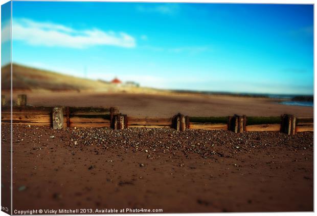 Scottish Beach Canvas Print by Vicky Mitchell