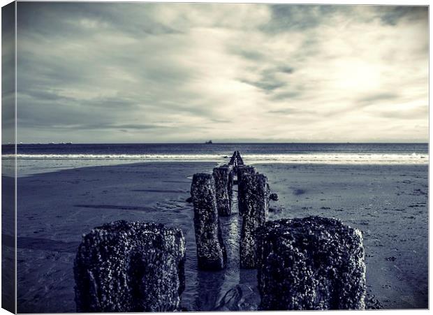 Groynes at Aberdeen Beach Canvas Print by Vicky Mitchell
