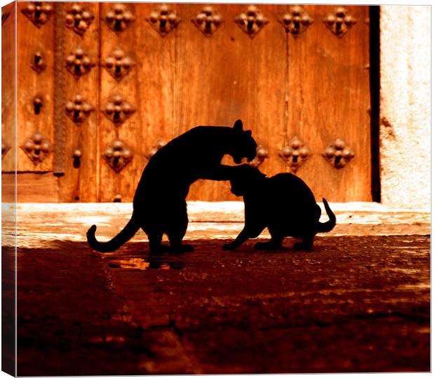 Les Chats Noirs Canvas Print by Brian O'Dwyer