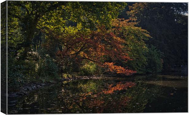 Rombergpark Dortmund Canvas Print by Brian O'Dwyer