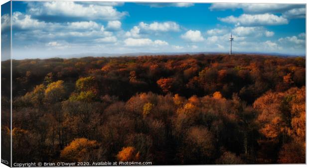 Goldener Oktober  Canvas Print by Brian O'Dwyer