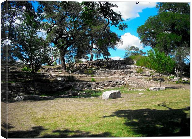 Austin State Park Canvas Print by caren chapman