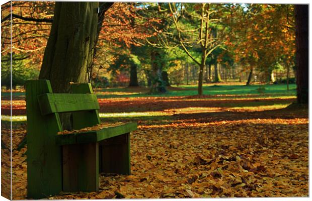 The Lonesome bench Canvas Print by Mark Lee