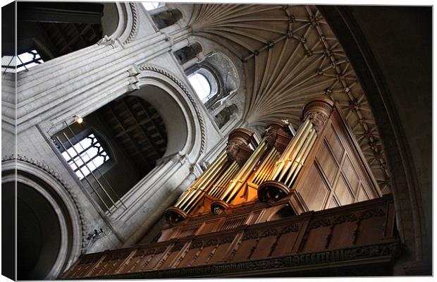 The Organ Pipes Of Norwich Carhedral Canvas Print by Mark Lee