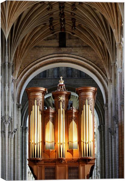 The Pipes Of Norwich Cathedral Canvas Print by Mark Lee