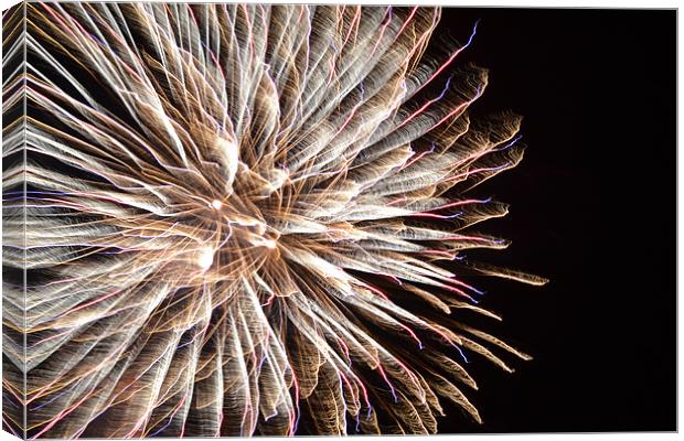 fireworks Canvas Print by Fred Walters