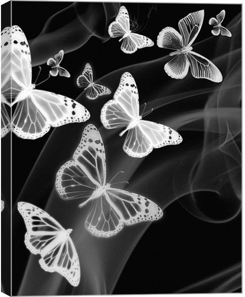 black white butterfly phone case Canvas Print by Emma Ward