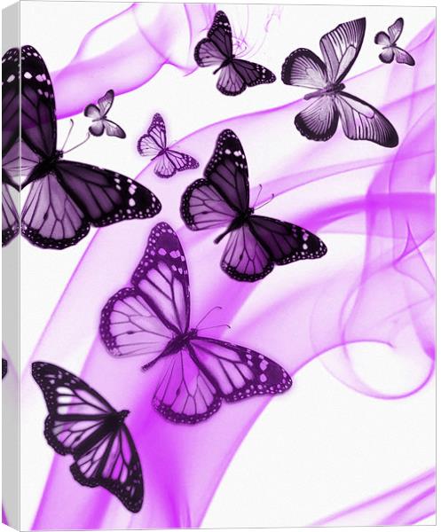 purple phone case Canvas Print by Emma Ward