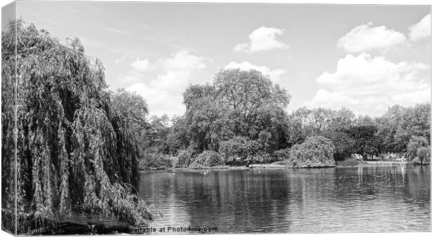 Pond Collection 13 Canvas Print by Emma Ward