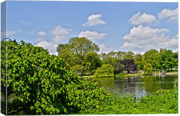 Pond Collection 27 Canvas Print by Emma Ward