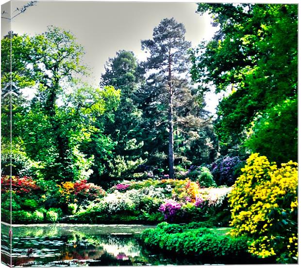 tatton pond 7 Canvas Print by Emma Ward