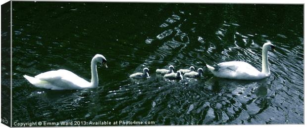 7 swans swimming 4 Canvas Print by Emma Ward