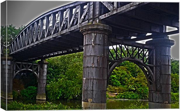 Bridge over river Don Canvas Print by Emma Ward