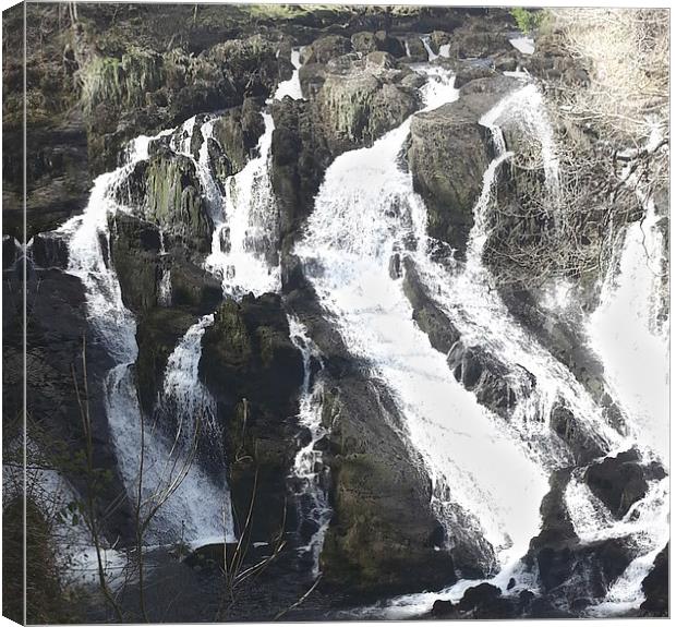 Swallow Falls Collection 2 Canvas Print by Emma Ward