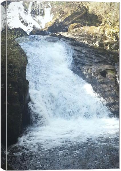 Swallow Falls Collection 3 Canvas Print by Emma Ward