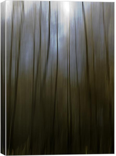 Woodland Blur Canvas Print by Nigel Jones